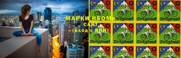 сатива Баксан