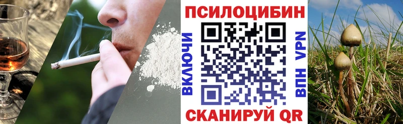 Галлюциногенные грибы мицелий  где можно купить наркотик  Тосно 